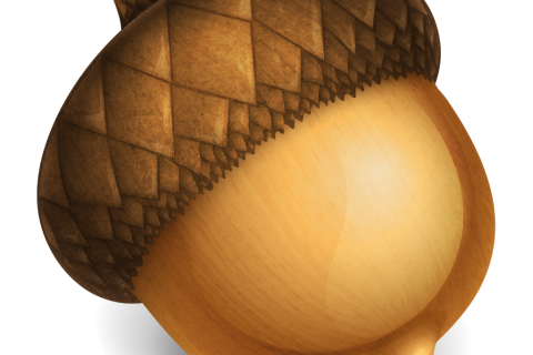 Acorn