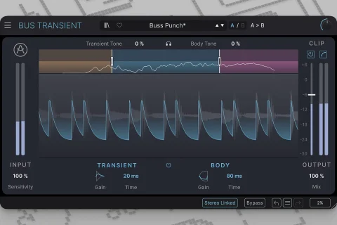 Arturia Bus Transient